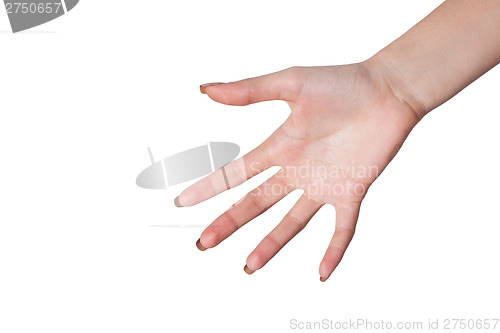 Image of Hand gesture of Female isolated on white