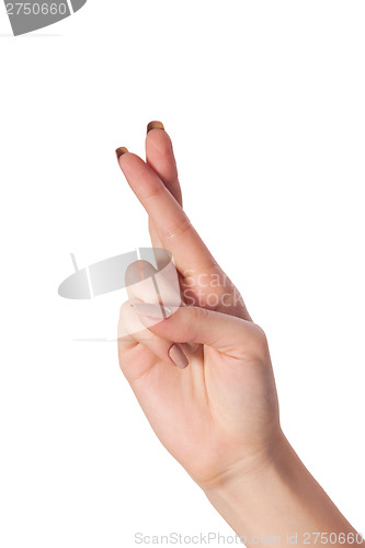 Image of Crossed fingers symbolizing good luck isolated on white