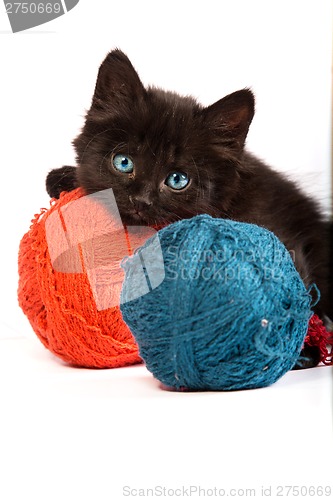 Image of Black kitten playing with a red ball of yarn on white background