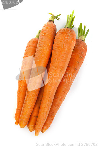 Image of Bunch of fresh carrot isolated on white