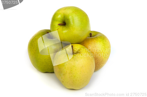 Image of A shiny green apple isolated on white