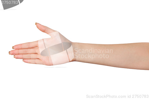 Image of Hand a Female person who is  willing to make a deal isolated on 