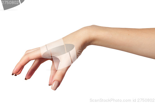 Image of Female hand reaching for something on white