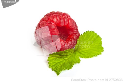 Image of Bunch of a red raspberry on a white background. Close up macro s