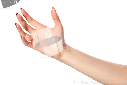 Image of Female hand reaching for something on white