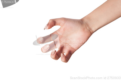 Image of Female hand reaching for something on white