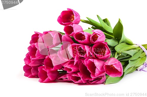 Image of Bunch of tulips on a white