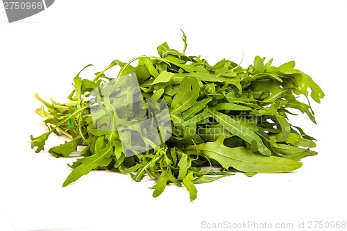 Image of Arugula/rucola  fresh heap leaf on white