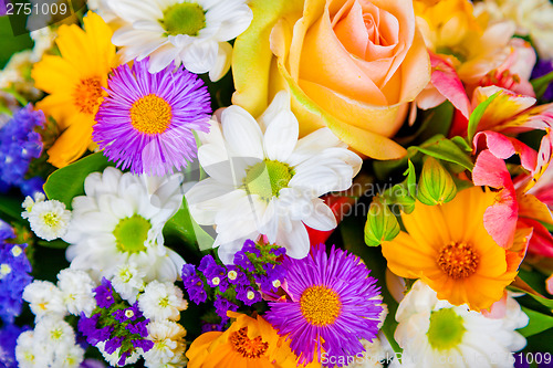Image of spring flowers background on white background