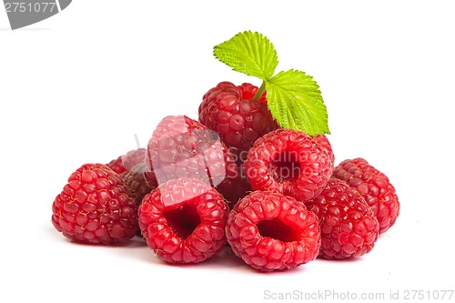 Image of Bunch of a red raspberry on a white background. Close up macro s