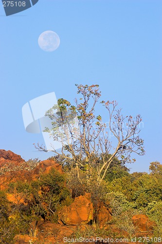 Image of African landscape