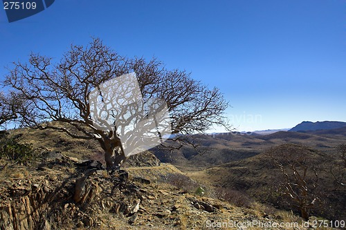 Image of African landscape