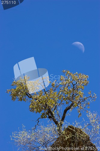 Image of African landscape
