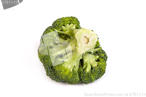 Image of Single broccoli floret isolated on white