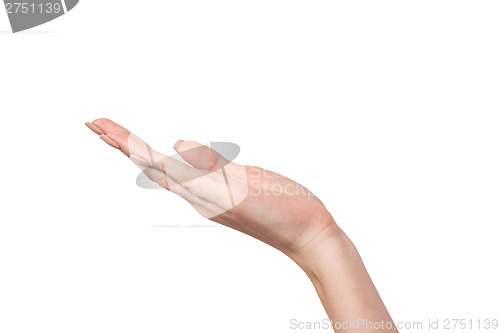 Image of Open palm hand gesture of Female hand