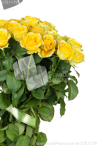 Image of Group of fresh yellow roses