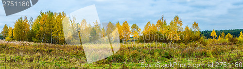 Image of Autumn forest panorama