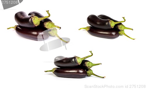 Image of set of eggplants, over white background