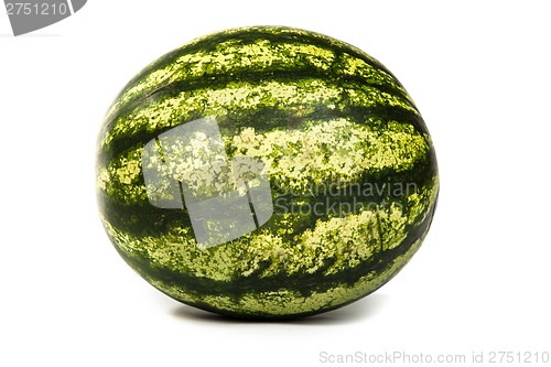 Image of Fresh, ripe, juicy watermelon. Shot on White