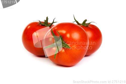 Image of Tomatos