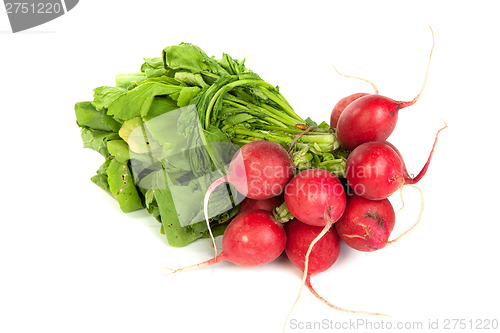 Image of A bunch of fresh radishes isolated on white