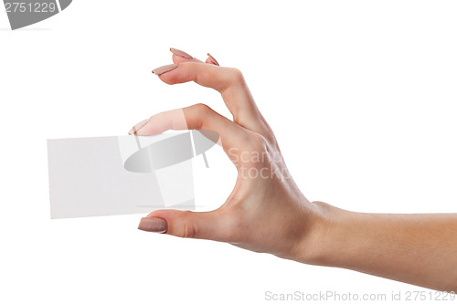 Image of Businesswoman's hand holding blank business card