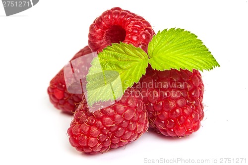 Image of Bunch of a red raspberry on a white background. Close up macro s