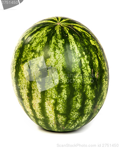 Image of Fresh, ripe, juicy watermelon. Shot on White