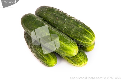 Image of Fresh Cucumbers on white