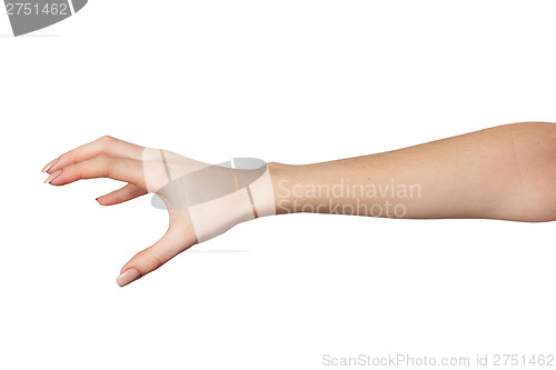 Image of Female hand reaching for something on white