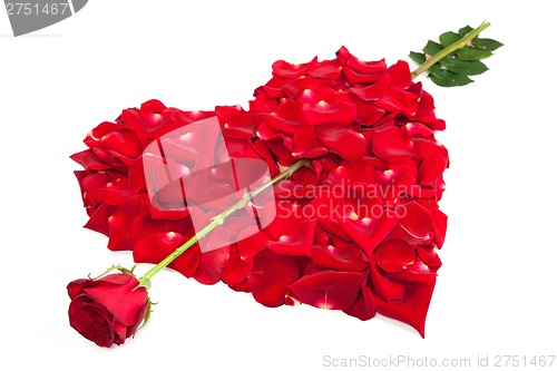 Image of Heart shape made out of rose