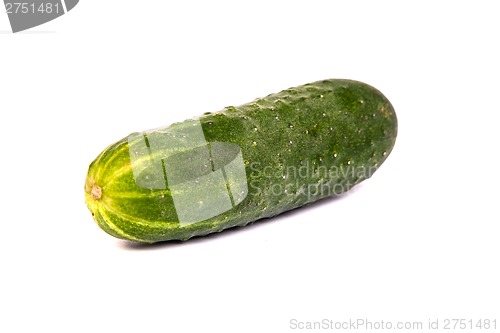 Image of Fresh Cucumbers on white
