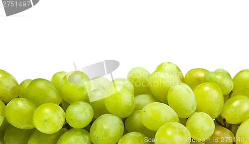 Image of Grape