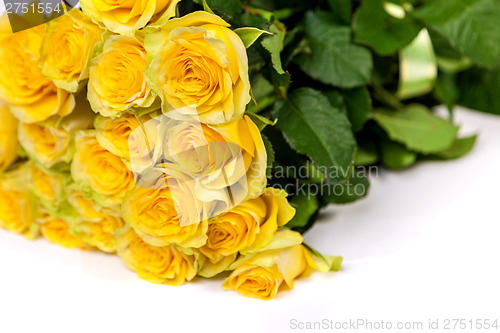 Image of Group of fresh yellow roses