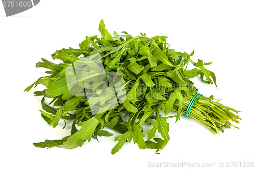 Image of Arugula/rucola  fresh heap leaf on white