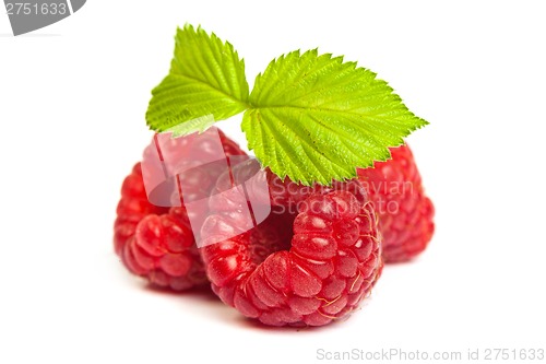 Image of Bunch of a red raspberry on a white background. Close up macro s