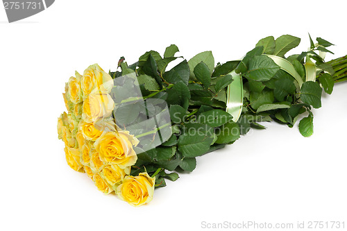 Image of Group of fresh yellow roses