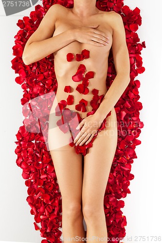 Image of Part of the naked beautiful suntanned female body in petals of s