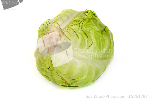 Image of Green cabbage isolated on white