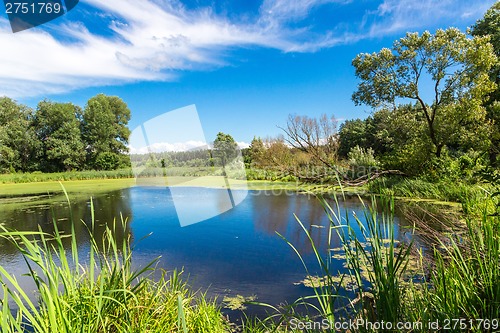 Image of Panorama of summer morning lake