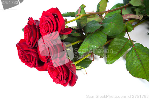 Image of Three fresh red roses over white background