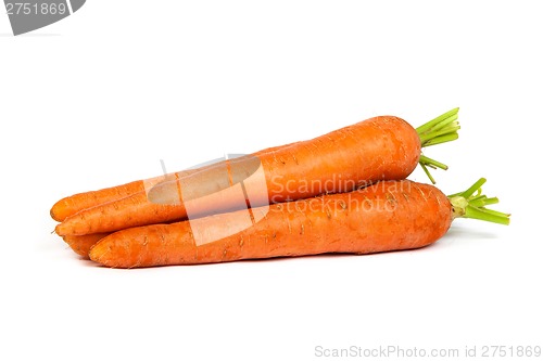 Image of Bunch of fresh carrot isolated on white