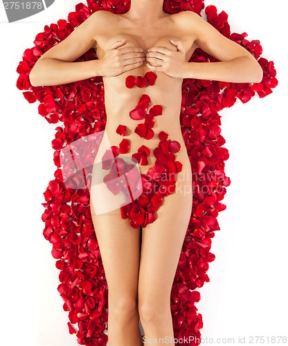 Image of Part of the naked beautiful suntanned female body in petals of s