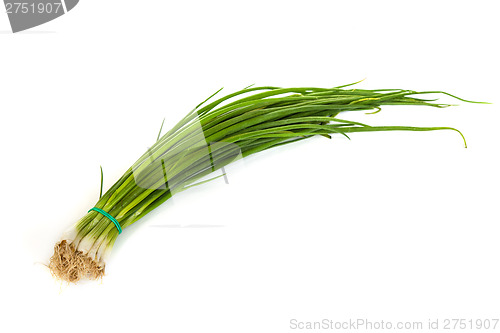 Image of Fresh scallions isolated on white