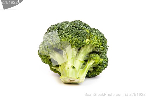 Image of Single broccoli floret isolated on white