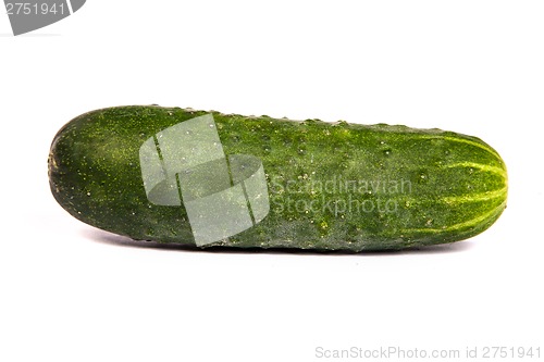 Image of Fresh Cucumbers on white