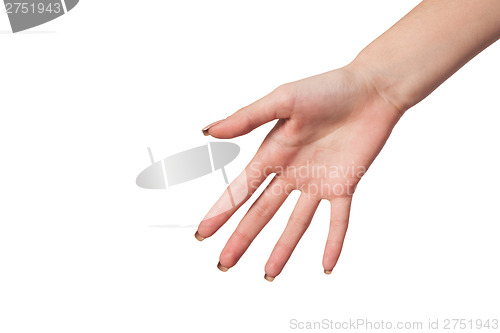 Image of Hand gesture of Female isolated on white