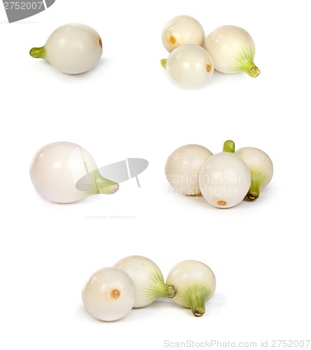 Image of set of onions, isolated on white