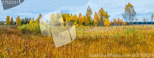 Image of Autumn forest panorama