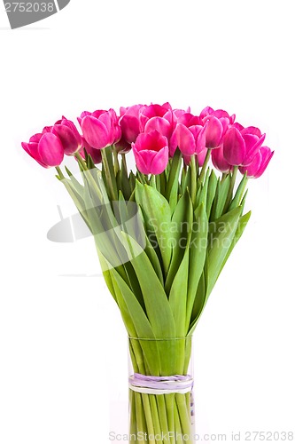 Image of Bunch of tulips on a white